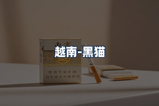 越南黑猫